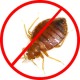 Bed Bug Control Treatment